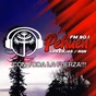 FM 90.1 Pehuen logo