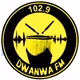 Dwanwa FM 102.9 logo