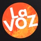 95.5 La Voz - WRBZ logo