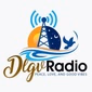 DLGV Radio logo