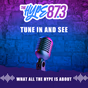 The Hype 87.3 logo