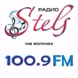 Стелс logo
