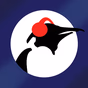 Pinguin Radio - Penguin Blues logo
