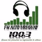 Fm Alto Uruguay 100.3 logo