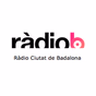 RCB logo