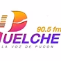 Puelche 90.5 FM logo