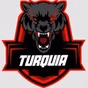 JUNIOR MPB logo
