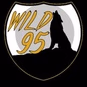 Audilous - Wild 95 logo
