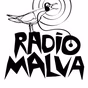 Ràdio Malva 104.9 FM logo