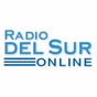 Radio Del Sur Online - ACDC Radio logo
