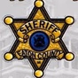 Eaton County Sheriff and Fire Dispatch logo