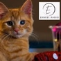 Ernest Radio logo