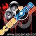 Ecuazona DJS logo