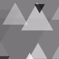 Anoma FM logo
