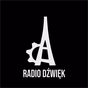 Radio Dźwięk logo
