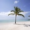 Punta Cana FM logo