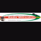 Radio Mthwakazi FM logo
