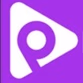 Pallas Radio logo