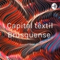 Rádio Capital Têxtil Brusquense logo