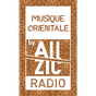Allzic Radio - Orientale logo
