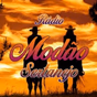 Radio Modão Sertanejo logo