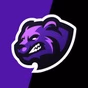 Vanisgaming Radio logo