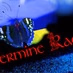 Hermine Radio Celtic logo