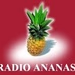 ProRaza Radio logo