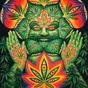Stoner Radio 420 logo