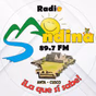 Radio Andina logo