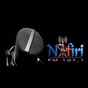 Radio Nafiri FM logo