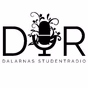 DUR - Dalarna University Radio logo