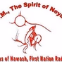 CHFN-FM logo