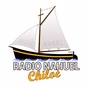 Radio Nahuel logo
