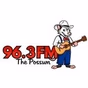 96.3 The Possum - WPWT logo