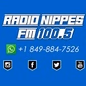 Radio Nippes FM 100.5 logo
