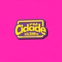 FM Cidade de Pedreiras logo