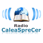 Radio Calea Spre Cer logo