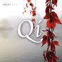 Calm Radio - Qi logo