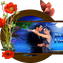 Radio Fiesta logo