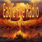Eagle Fire 9000 logo