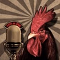 Radio el Mirador del Gallo logo