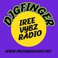Iree Vybz Radio logo