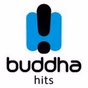 Buddha Tunes Radio - Chill logo