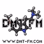 DMT FM Psytrance 24/7 logo