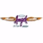 Angel FM logo