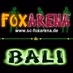 FOXARENA logo