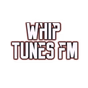 Whip Tunes FM logo