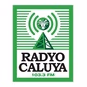 103.3 Radyo Caluya logo