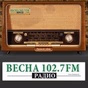 Весна logo